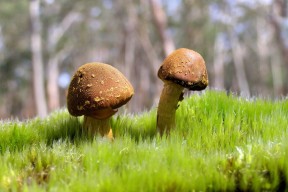 世界混合团体山地越野赛决赛：海拔与坡度共同考验团队战术，山地越野赛是什么活动