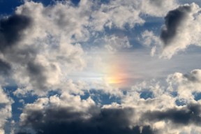 世界棒球联赛美洲球队表现强劲，美国棒球联盟排名